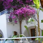 Filis Bodrum