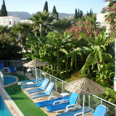 Otel Filis 2*