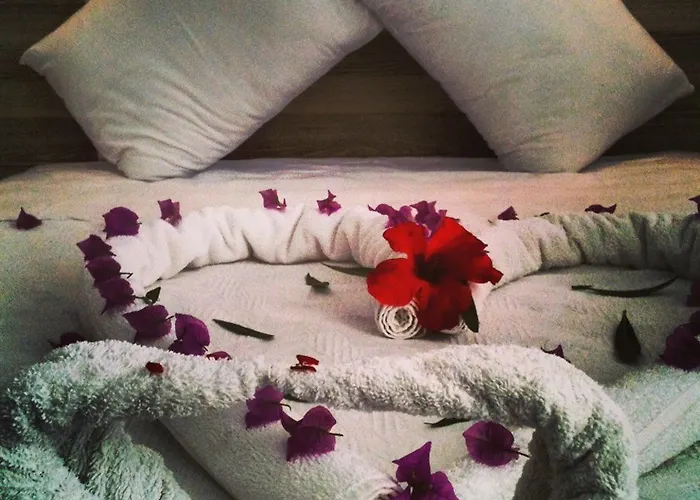 Filis Ξενοδοχείο Αλικαρνασσός