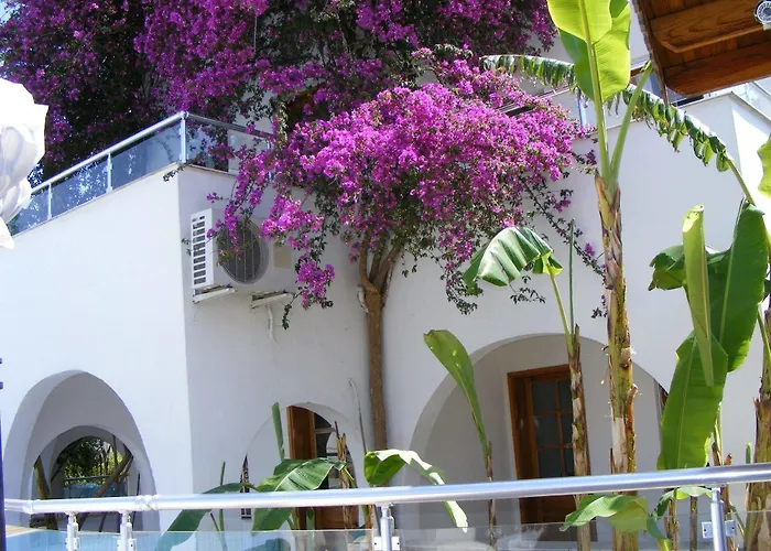 Filis Αλικαρνασσός